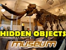 Hidden Objects Museum