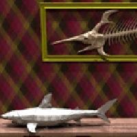 Gra Pokój Łowcy Rekinów
