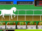 Gra Biały Koń