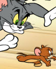 Gra Tom and Jerry in Whats the Catch