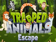 Trapped Animals Escape
