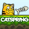 Gra Catspring