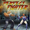 The Perfect Fighter 1.0
