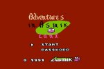 Adventures in Asmik Land Online